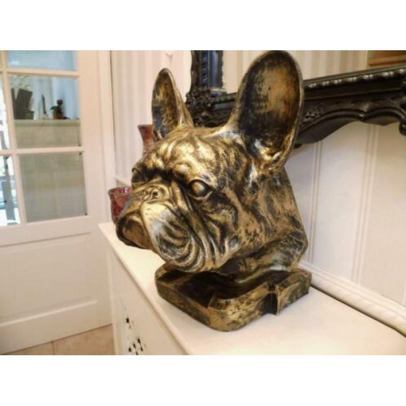 Als kado sier of urn franse bulldog nergens te koop franse b
