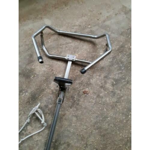 Geboorte krik rundvee