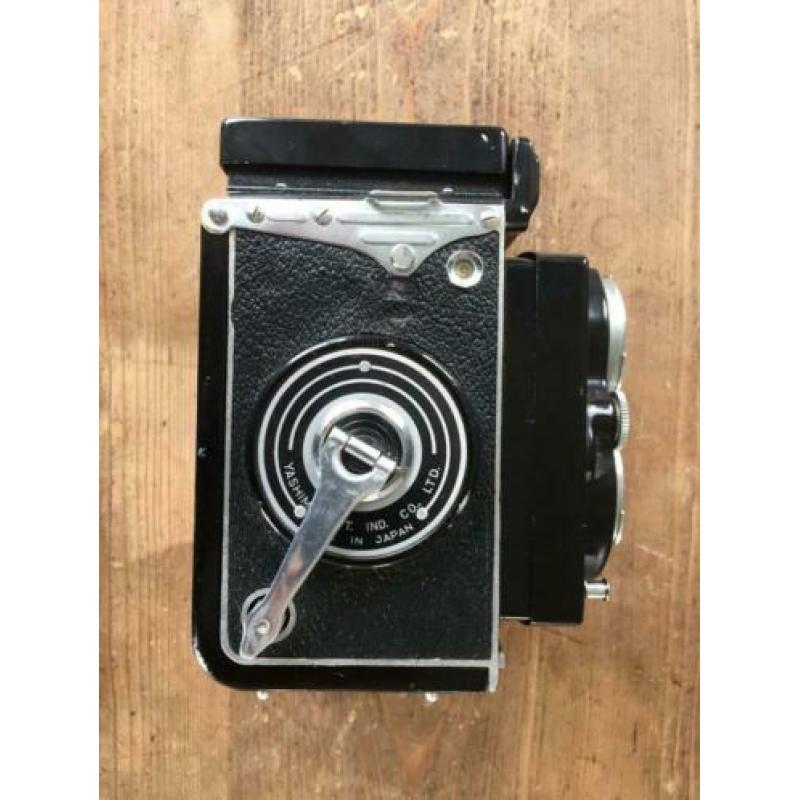 Yashica Mat
