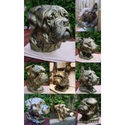 Als kado sier of urn franse bulldog nergens te koop franse b