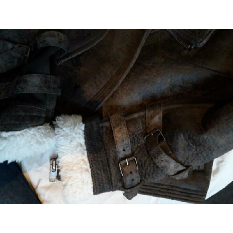 Winterjas clockhouse maat L