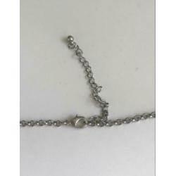 Zilverkleurige jasseron ketting met hanger