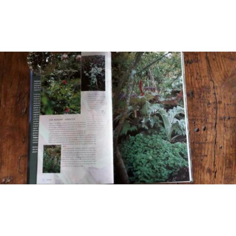 Markante planten . Noël Kingsbury