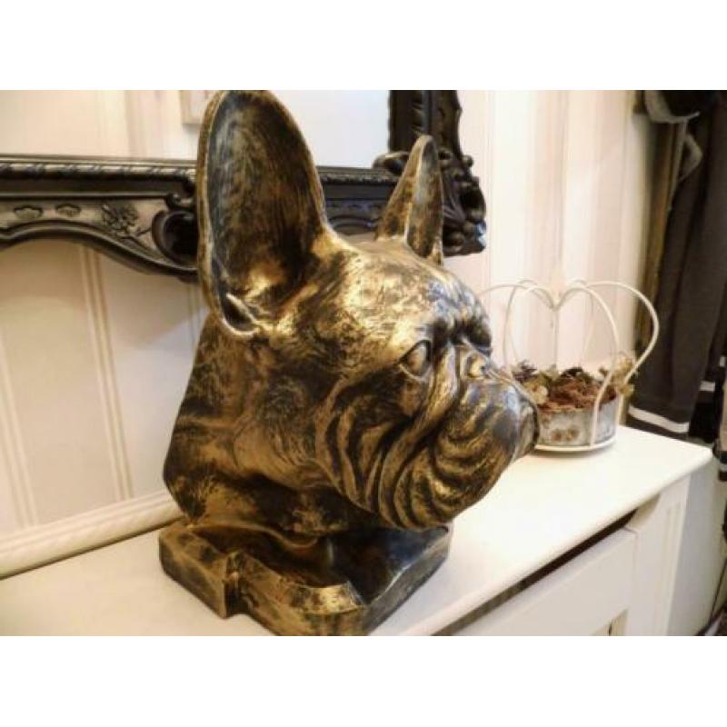 Als kado sier of urn franse bulldog nergens te koop franse b