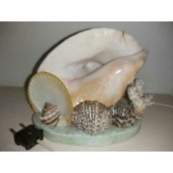 schelpenlamp schelp lamp koraal en schelpen prachtig