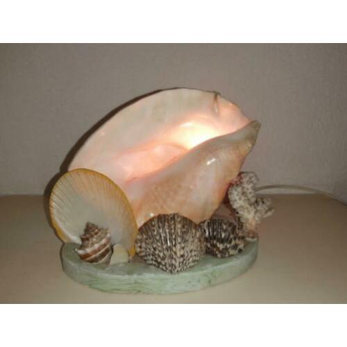 schelpenlamp schelp lamp koraal en schelpen prachtig