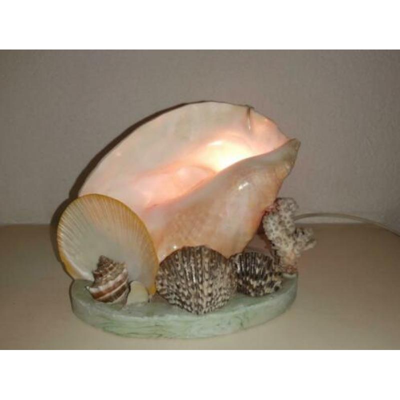 schelpenlamp schelp lamp koraal en schelpen prachtig