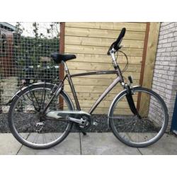 Gazelle Fuente Trekking H61