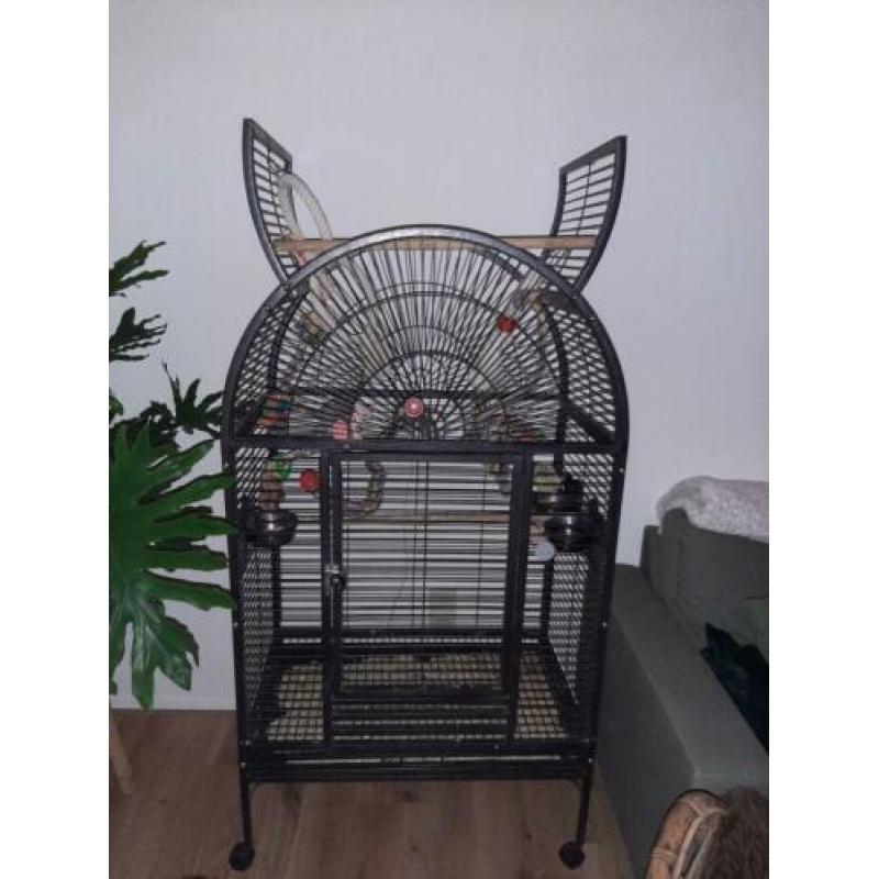 Te koop ruime papegaaien kooi met toebehoren en opvanggoot