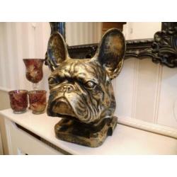 Als kado sier of urn franse bulldog nergens te koop franse b
