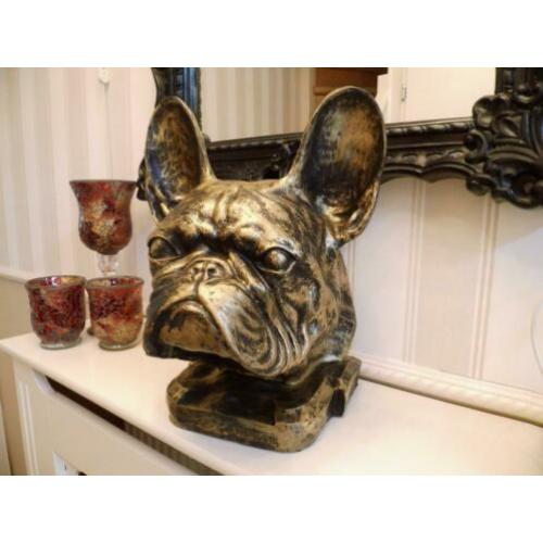 Als kado sier of urn franse bulldog nergens te koop franse b