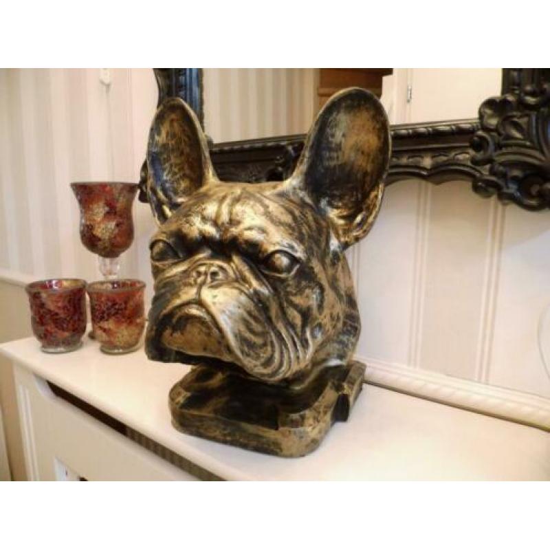 Als kado sier of urn franse bulldog nergens te koop franse b