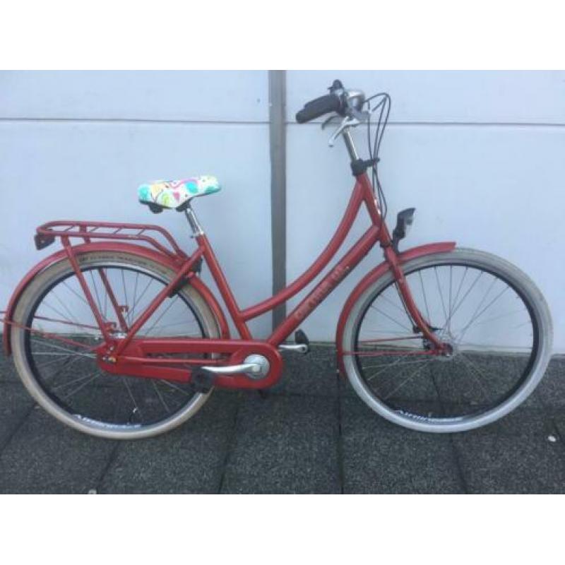 Cortina U1 50 cm frame