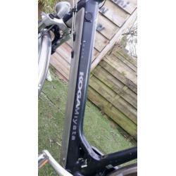 Koga Miyata Tesla