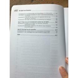 De bijbel voor dummies | ISBN 90-430-0862-1