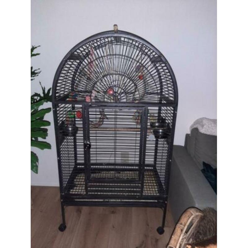 Te koop ruime papegaaien kooi met toebehoren en opvanggoot