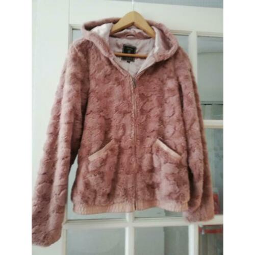 Teddy jas mt 176