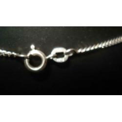 zilveren ketting met zilv.hondje