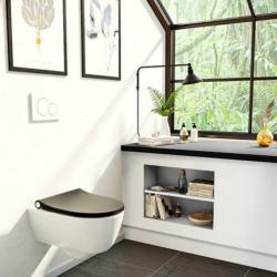Pressalit Sway D 934 Zwart wc-bril Design