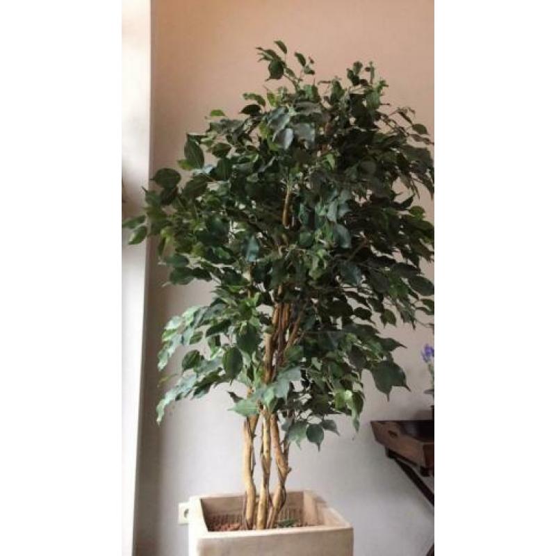 Grote kunstplant met pot hoogte 180 cm