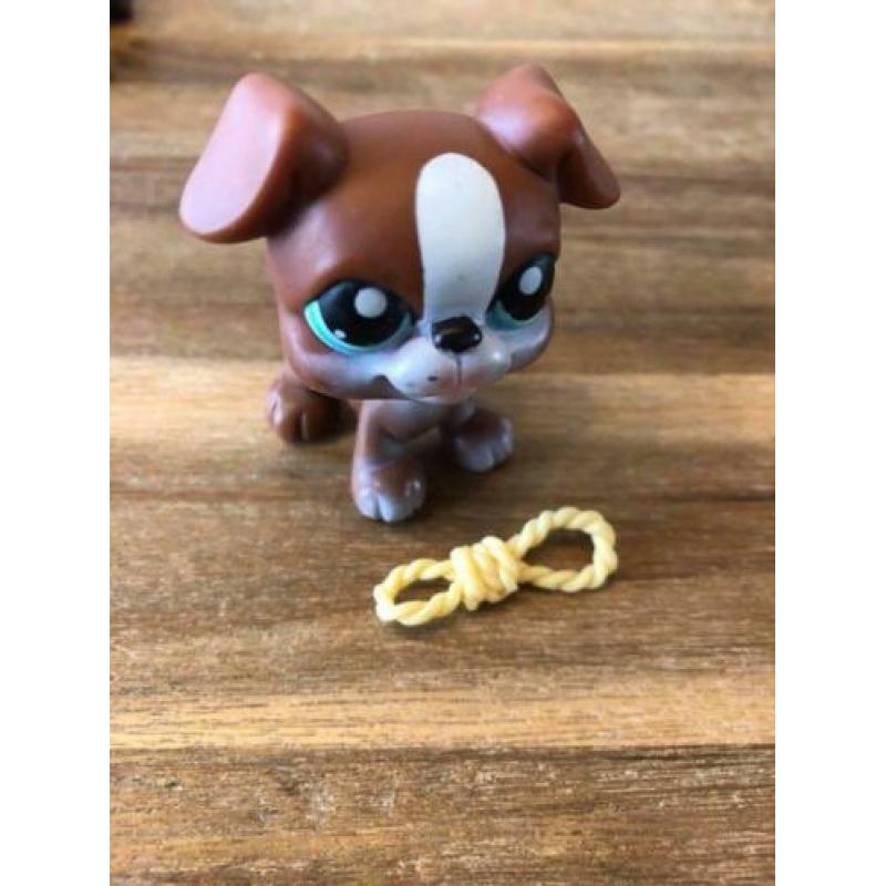Littlest Pet Shop dieren, 7de van 7 advertenties