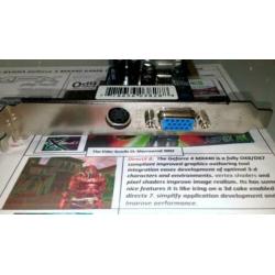 XFX NVIDIA Geforce 4 MX440 64MB DDR AGP 8X Low Profile Pine