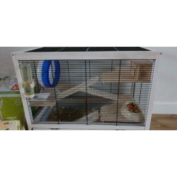 Hamsterkooi