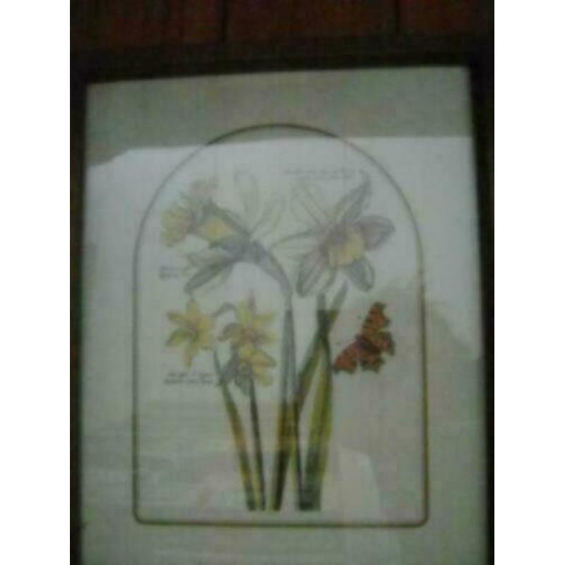 3 oude houten lijstjes met mooie bloemen afbeelding 33 x 27