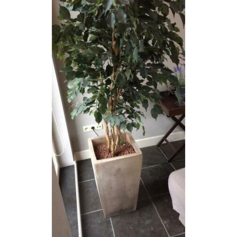 Grote kunstplant met pot hoogte 180 cm