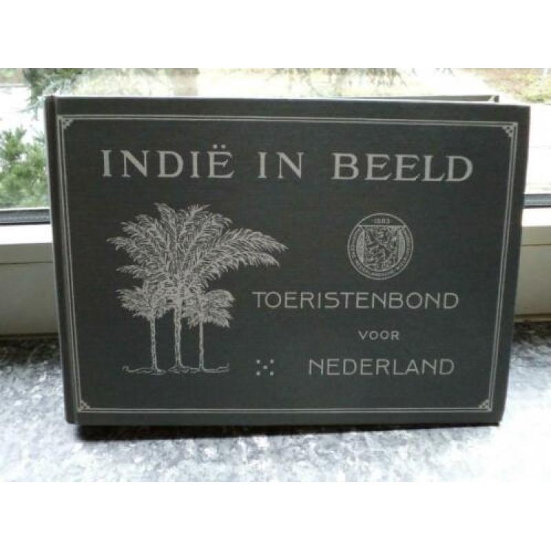 Indie in beeld