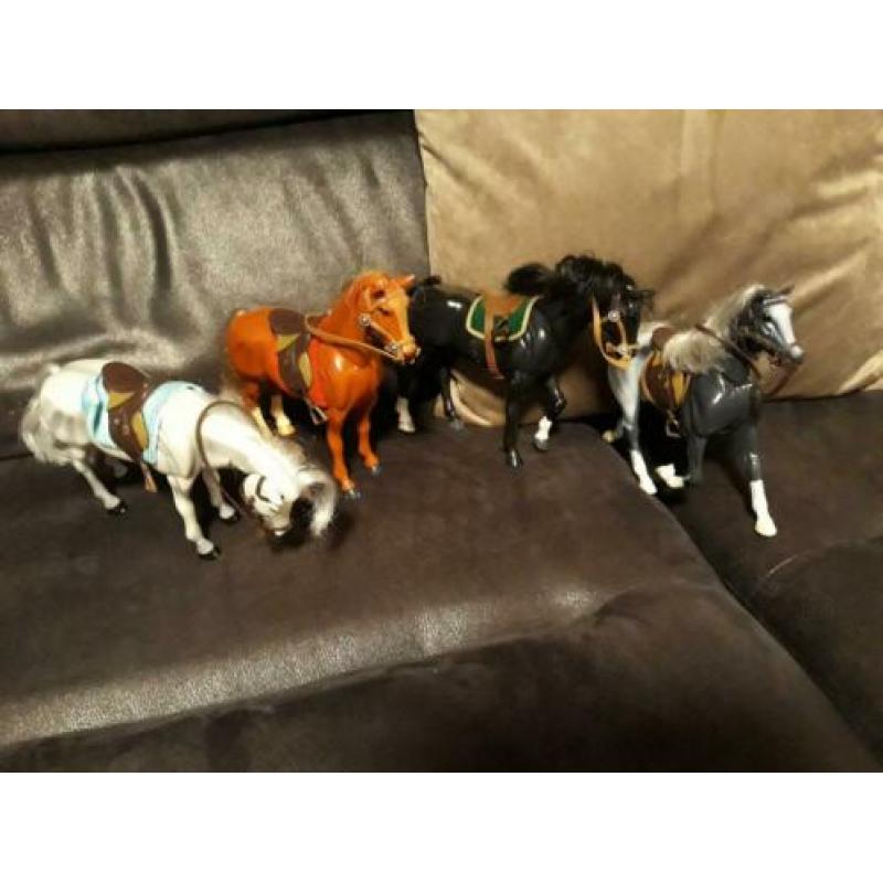 4 prachtige paarden in zeer goede staat