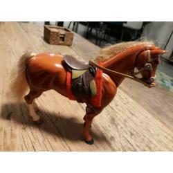 4 prachtige paarden in zeer goede staat