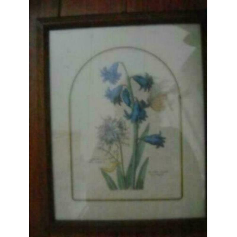 3 oude houten lijstjes met mooie bloemen afbeelding 33 x 27