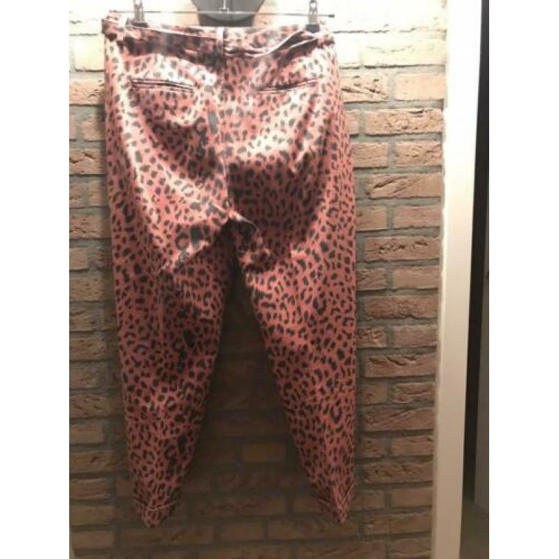 Broek en colbert Maison Scotch