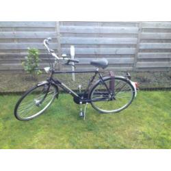 Gazelle Accent 28" inch Herenfiets