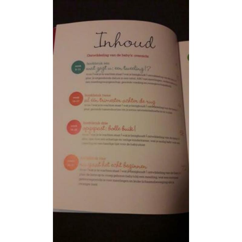 Boek; zwanger van een tweeling!
