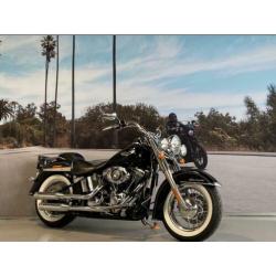Harley-Davidson Softail 103'' 1690 FLSTN DELUXE