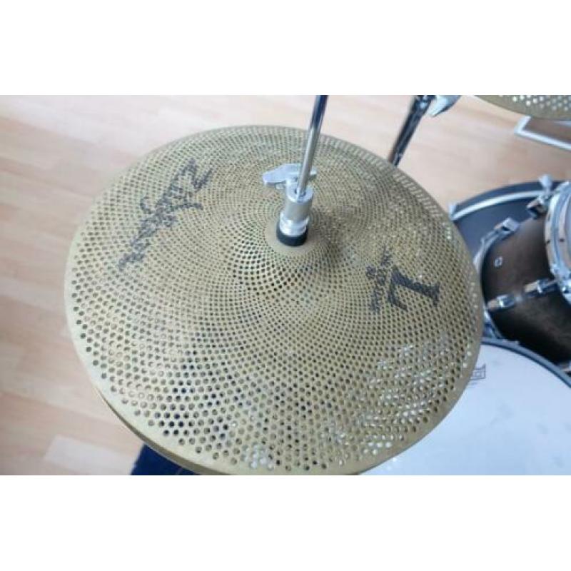 Pearl Decade Maple