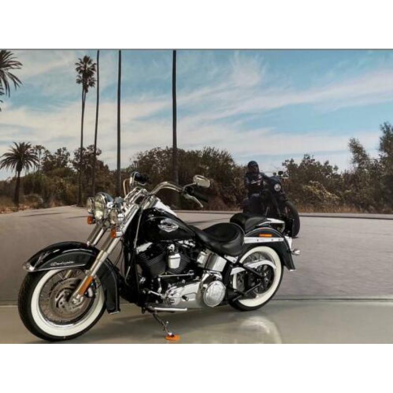 Harley-Davidson Softail 103'' 1690 FLSTN DELUXE