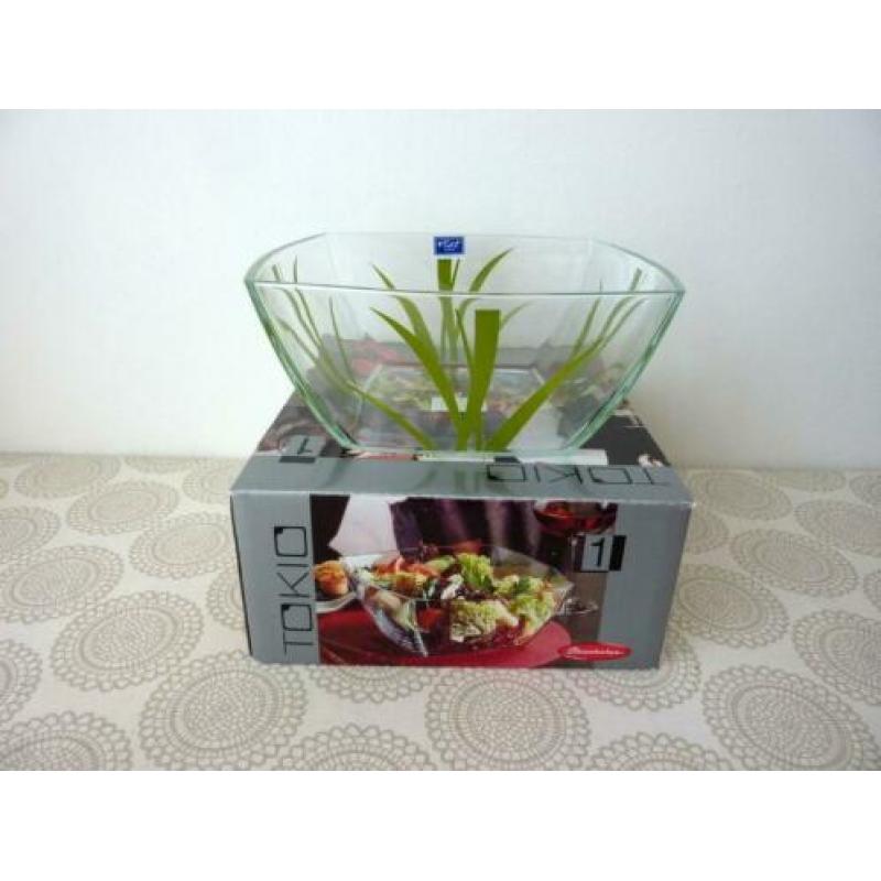 Saladeschaal (nieuw)