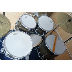 Pearl Decade Maple