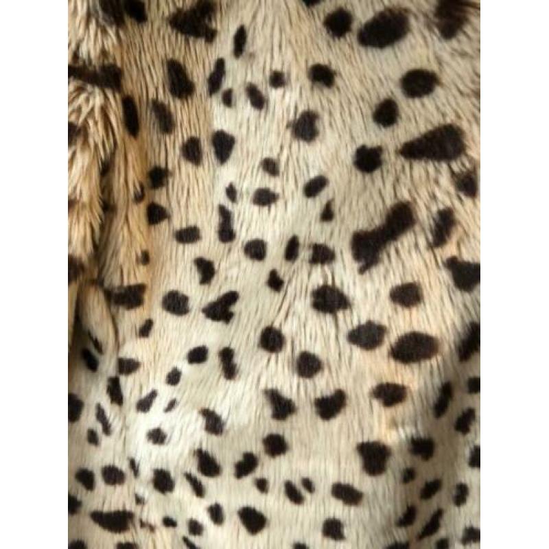 Goosecraft faux fur leopard M