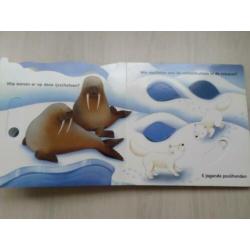 Schuif/Draai telboek Een kleine pinguin en zijn vriendjes