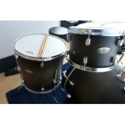Pearl Decade Maple