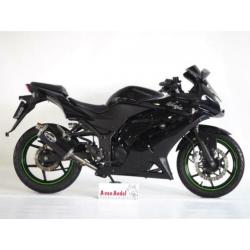 Kawasaki NINJA 250 R A2 rijbewijs (bj 2012)