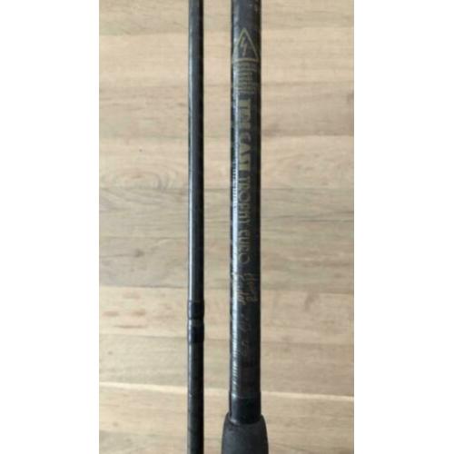 Tri cast trophy euro heavy feeder