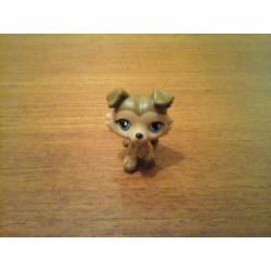 Littlest pet shop collie bruin petshop