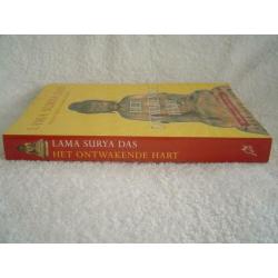 Het ontwakende hart, Lama Surya Das (Boeddhisme)