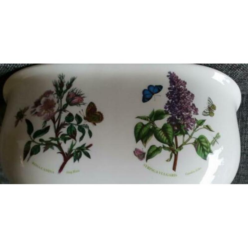 Portmeirion planter / serving dish Botanic Garden