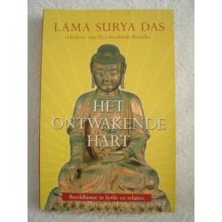 Het ontwakende hart, Lama Surya Das (Boeddhisme)